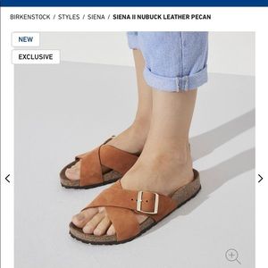 Birkenstock Siena mink suede sandals